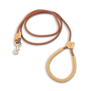 Guard. Pet Leash